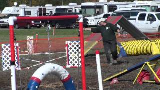 Joy+Sandy AKC Agility Standard Novice 20101001