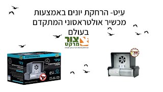 עיט | הרחקת יונים | הרחקת ציפורים | הדברה אלקטרונית | צור מרקט