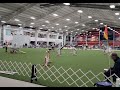 coach s 6th agility trial at purina farms february 2nd 2025