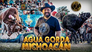 THANK GOD, EVERYONE IS STILL STANDING! | WHAT A GREAT SUSPENSE WE LIVE IN: AGUA GORDA, MICHOACÁN...