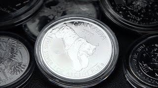 Epic Silver Bullion that helped change the market! Canadian Predator Series still valuable today!