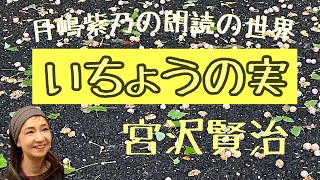 【朗読】宮沢賢治「いちょうの実」…劇団主宰【月嶋紫乃の朗読の世界】【青空文庫】