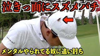 ゴルフの内容はボロボロです。コースは本当に素晴らしいコースでした［芦原GC 最終話］