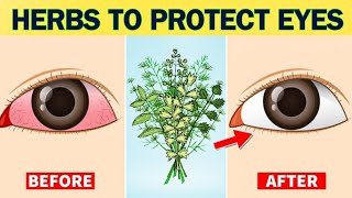 9 Miracle Herbs to Protect Eyes and Repair Vision! (You Won't Believe #7!)