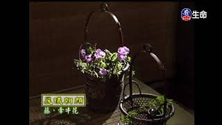 佛心花海_晨曦朝顏_李麗淑老師_(lifetv_20200810_11:00)