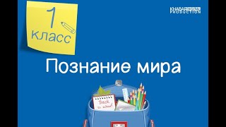 Познание мира. 1 класс.  Режим дня /18.09.2020/