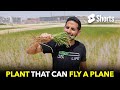 Plant That Can Fly A Plane #299