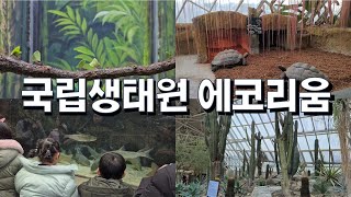 서천여행을 계획한다면, 국립생태원 에코리움 솔직한 리뷰