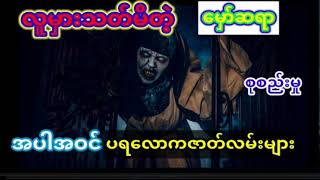 လူမှားသတ်မိတဲ့မှော်ဆရာအပါအဝင်(စုစည်းမှု)