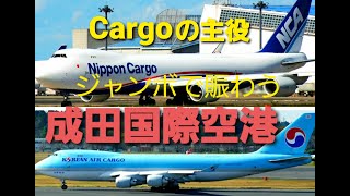 ✈✈[RJAA]成田空港 低い上がりのNCA日本カーゴは｢ほぼ満載｣大韓航空 (Korean Air)Boeing 747 日本貨物航空 (Nippon Cargo )Boeing 747-8KZF