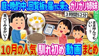 【2ch馴れ初め 10月総集編】庭で晩酌中、回覧板を届けに来たガリガリ姉妹→土鍋で炊いた栗ご飯をご馳走した結果…2ch純愛物語 10月の人気動画まとめてみた！【作業用】【ゆっくり】