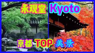 京都紅葉2019最美寺院/永观堂/红叶/Kyoto / Famous Temple / Yongguan Hall / Hongye