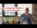 Просто смешайте яблочный уксус и чеснок.