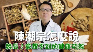 絲瓜超好用？多種功效報你知！(完整版)   #陳潮宗總院長 【藥食同源 美顏美膚 陳潮宗怎麼說】