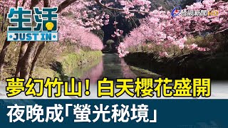 夢幻竹山！白天櫻花盛開 夜晚成「螢光秘境」【生活資訊】