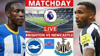 Brighton vs Newcastle Live Match 2022 Premier League Football Watch Along Commentary Score Stream