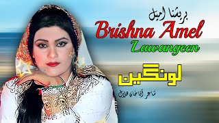 Lawangeen | Brishna Amil | Pashto | Song 2022 | HD | Afghan | برشنا امیل  | MMC OFFICIAL