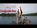 How To Catch Longnose Gar Using a Slip Bobber - Dinosaur Therapy!