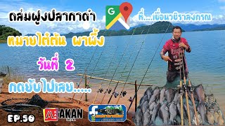 ตกปลากาดำเขื่อนเขาแหลม วันที่2 หมายไต๋ต้นผาผึ้ง EP.50 #ตกปลาเขาแหลม #ไต๋ต้น #ฺBISON #ปลากาดำ #AKAN