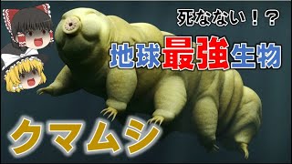 【無敵】地球上最強の生物！クマムシの生態の秘密とは【ゆっくり解説】