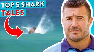 Top 5 Shark Encounters At Bondi Beach