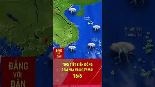 Thời tiết Biển Đông đêm nay và sáng mai 16/6: Bản tin thời tiết nhanh