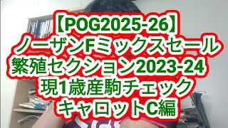 【POG2025-26】ノーザンFミックスセール繁殖セクション2023-24　現1歳産駒チェック　キャロットC編