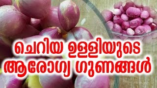 ചെറിയ ഉള്ളിയുടെ ആരോഗ്യഗുണങ്ങൾ |  Health Benefits of Small Onions | TASTY WORLD