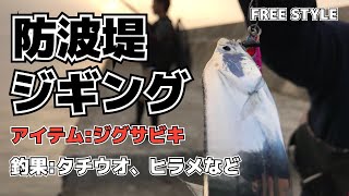 防波堤からジグサビキを投げるとタチウオや良型ヒラメが釣れた！