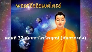 พระศรีอริยเมตไตรย์ ตอนที่ 37 ต้นมหาโพธิพฤกษ์ (ต้นกากะทิง)