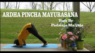 ARDHA PINCHA MAYURASANAM By Padmaja Malyala