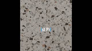 Terrazzo Porcelain Paving