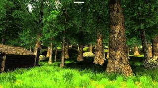 Unity 3d Forest Test
