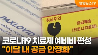 코로나19 치료제 예비비 편성…\