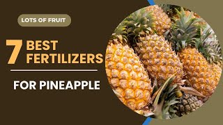 7 BEST FERTILIZERS FOR PINEAPPLE.