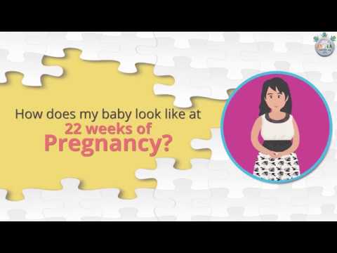 Baby’s Development At 22nd Week Of Pregnancy Part 1 - YouTube