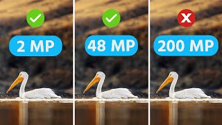 Megapixels DON'T Matter... But THIS Does