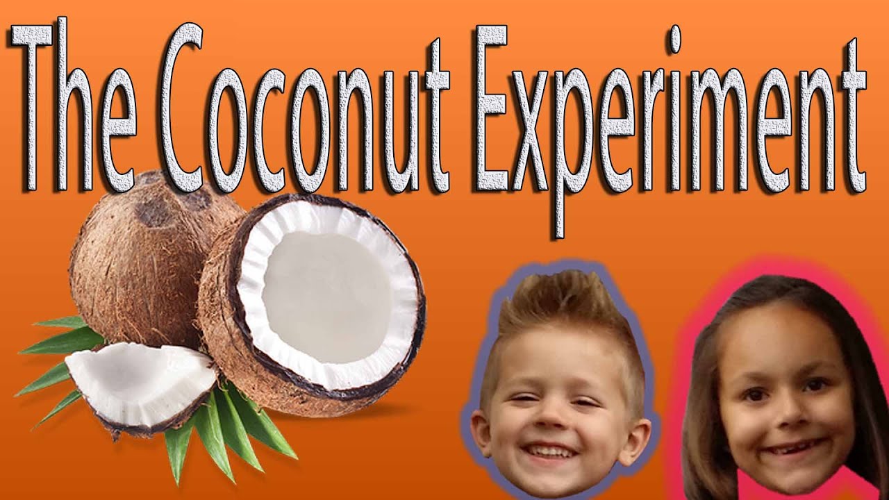 The Coconut Experiment - YouTube