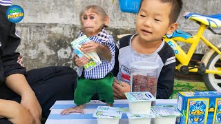 Monkey Kobi goes to buy milk brother's grocery