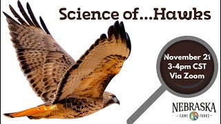 Science of...Hawks