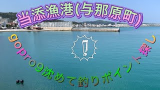 gopro9を沈めて水中カメラ映像！⑤当添漁港okinawa#沖縄釣り #gopro9 #釣り