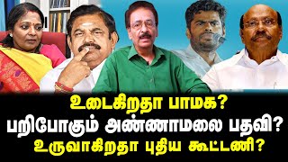 உடைகிறதா பாமக? | பறிபோகும் அண்ணாமலை பதவி? | உருவாகிறதா புதிய கூட்டணி? | தராசு ஷ்யாம் பேட்டி