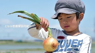 JAとなみ野の紹介