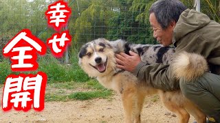 ネグレクトにあい心を閉ざした保護犬の末路