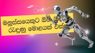 බුද්ධියක් නැති මොළයක් එක්ක