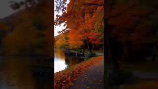 🍁 Autumn Symphony: A Musical Journey Through Nature's Awakening Colors 🎶