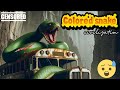 Colored snake civilization | Nature Exploration | Travel Discovery | #shorts #trending #snake