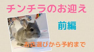 【チンチラ】チンチラのお迎え♪前編