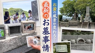 「墓じまい」含む墓の改葬件数が過去最多に　人気の樹木葬や自宅で管理する新商品も…多様化するお墓事情