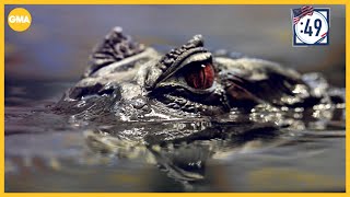 A tour of Louisiana in 90 seconds